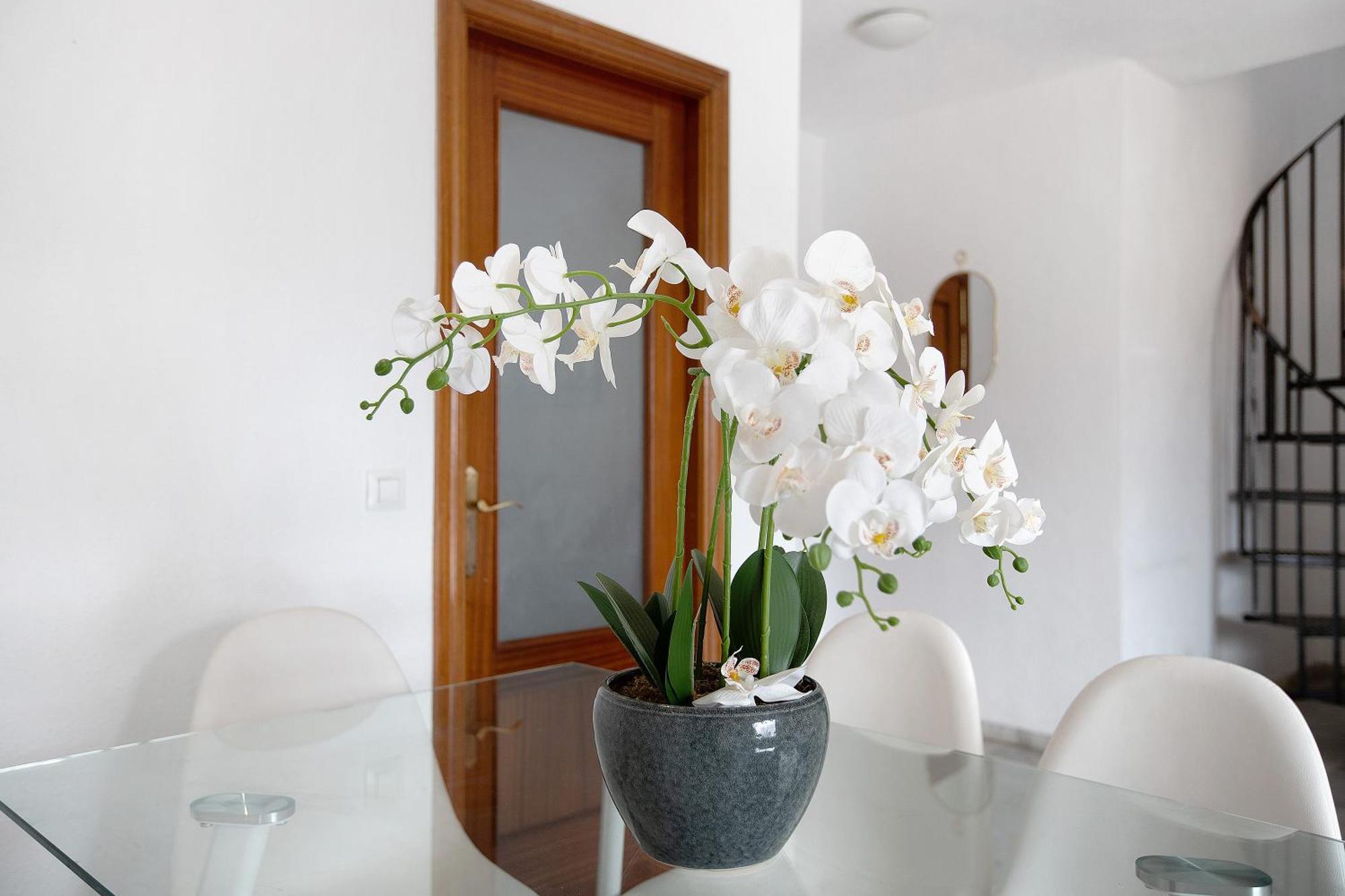 Apartamento Atico Duplex En Málaga Exterior foto